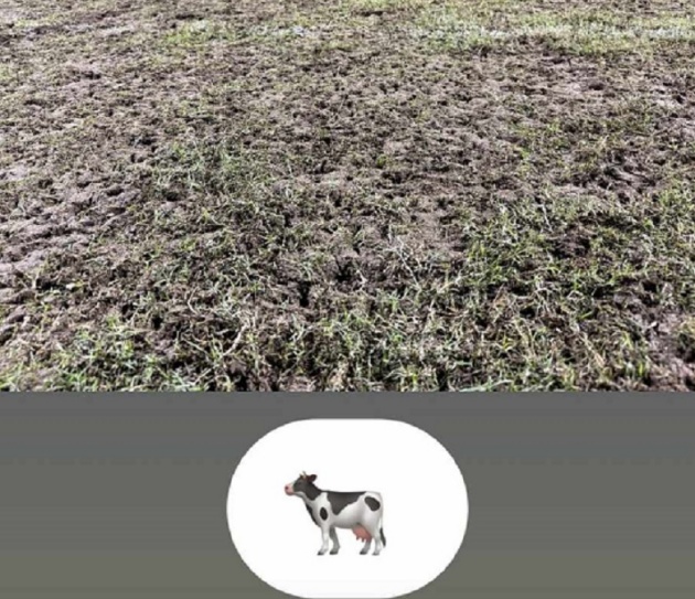 SỐC! HLV Polking chê bóng đá Việt Nam, ví sân Hà Tĩnh như ‘chăn bò’