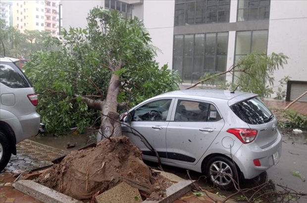 Cơn bão số 1 ảnh hưởng tới nhiều đội bóng tại V.League